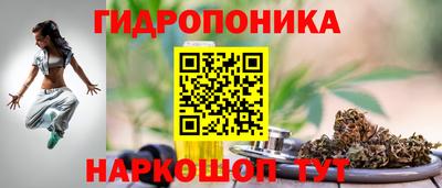 меф Чапаевск