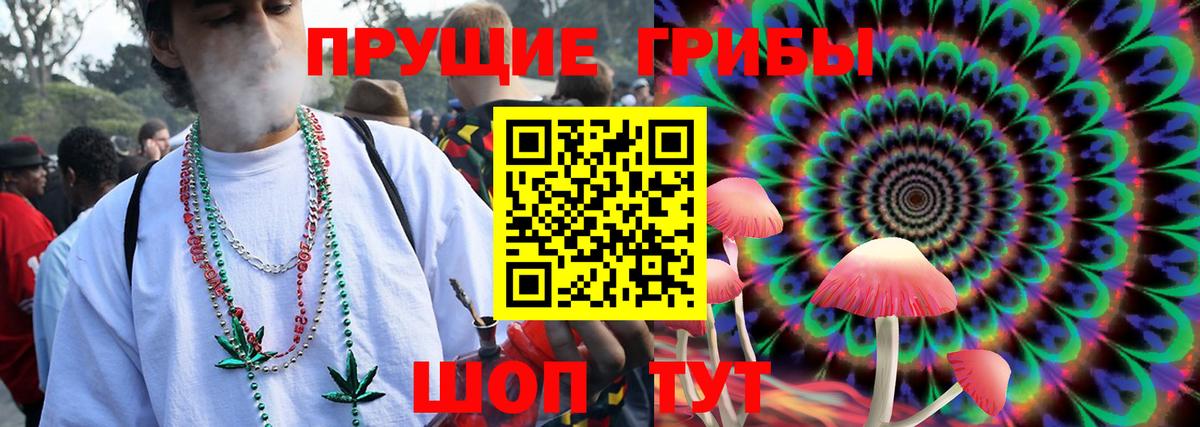 Новодвинск  Галлюциногенные грибы прущие грибы  Вход с VPN 